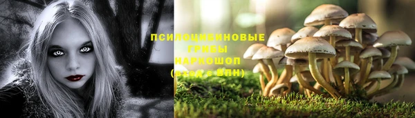гашик Белоозёрский
