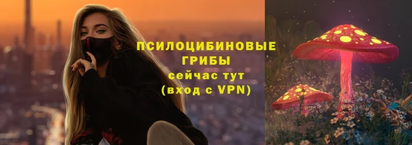 Альфа ПВП Белокуриха