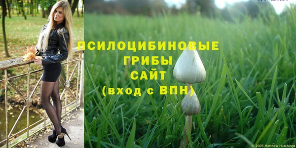 Альфа ПВП Белокуриха