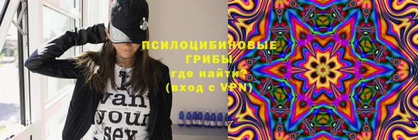 Альфа ПВП Белокуриха