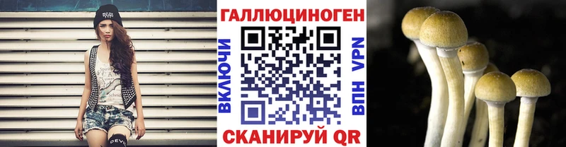 Галлюциногенные грибы Psilocybe  Салаир 
