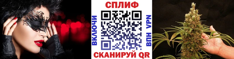 Каннабис MAZAR Салаир