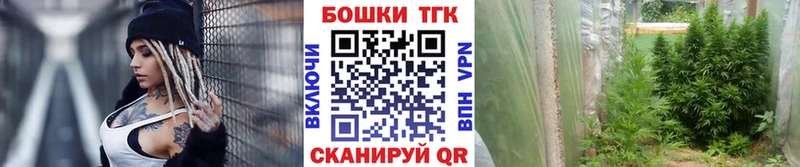 Бошки Шишки Ganja где найти наркотики Салаир